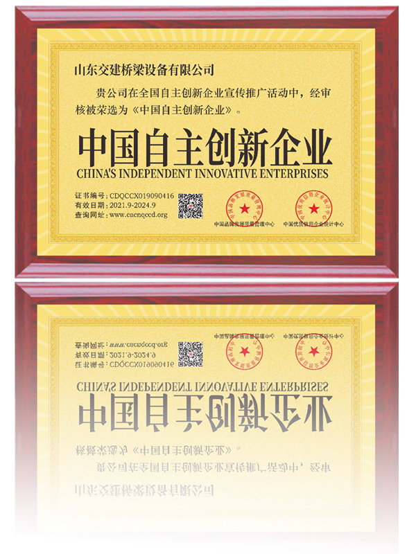 自主創(chuàng  )新企業(yè).png